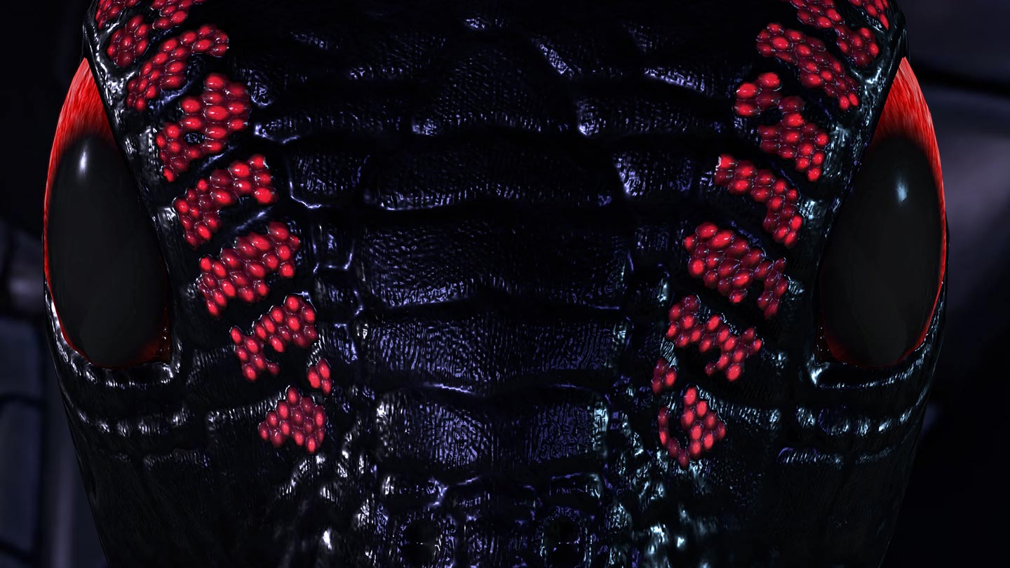 solamandra closeup